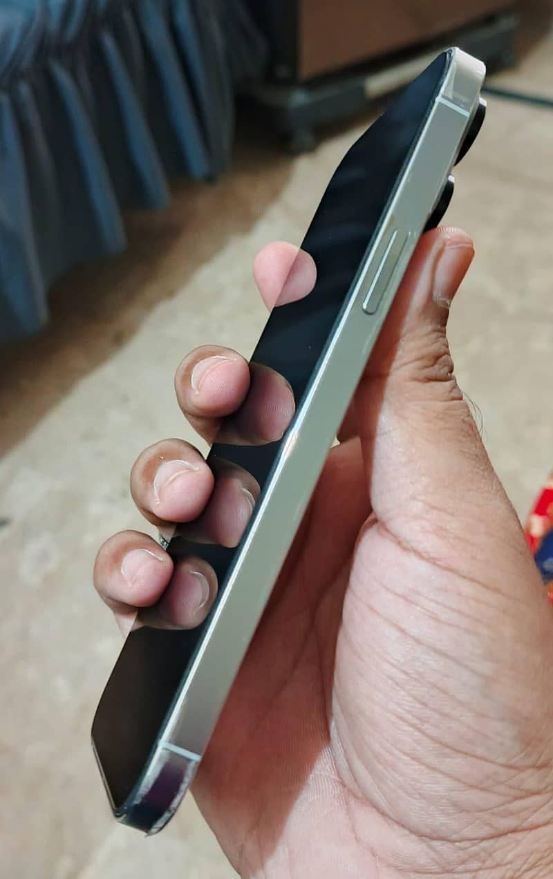 Apple iPhone 13 Pro Max 3