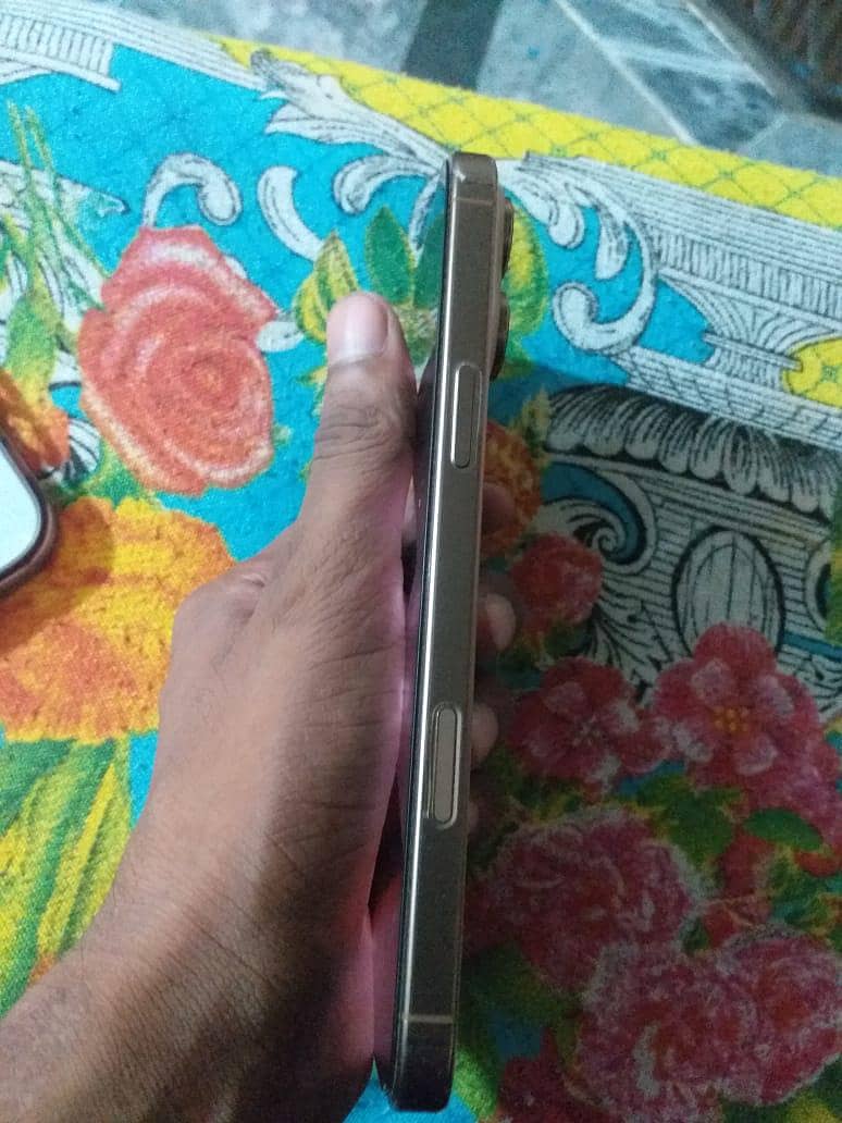 Apple iPhone 16 Pro Max 1