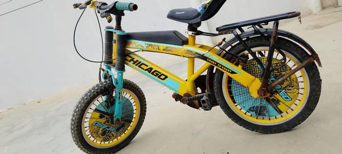 Chicago bicycle