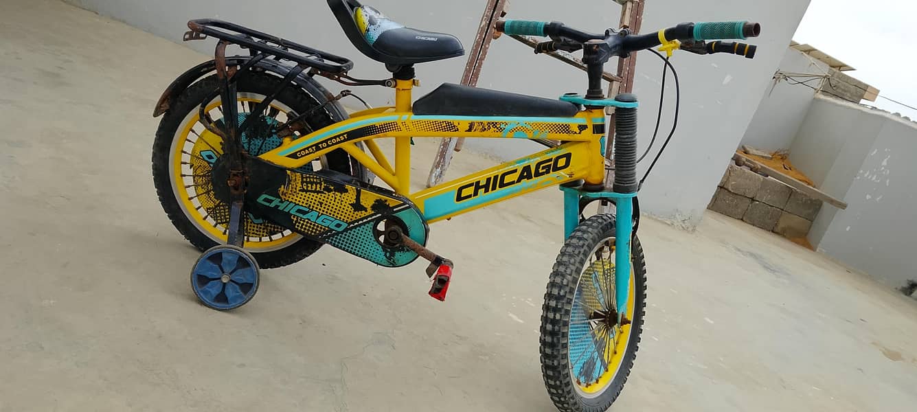 Chicago bicycle 3