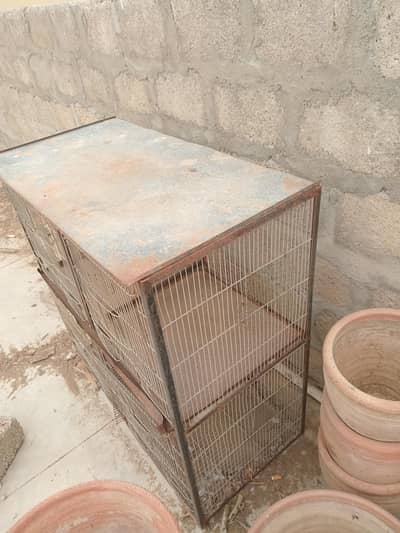 Bird Cage