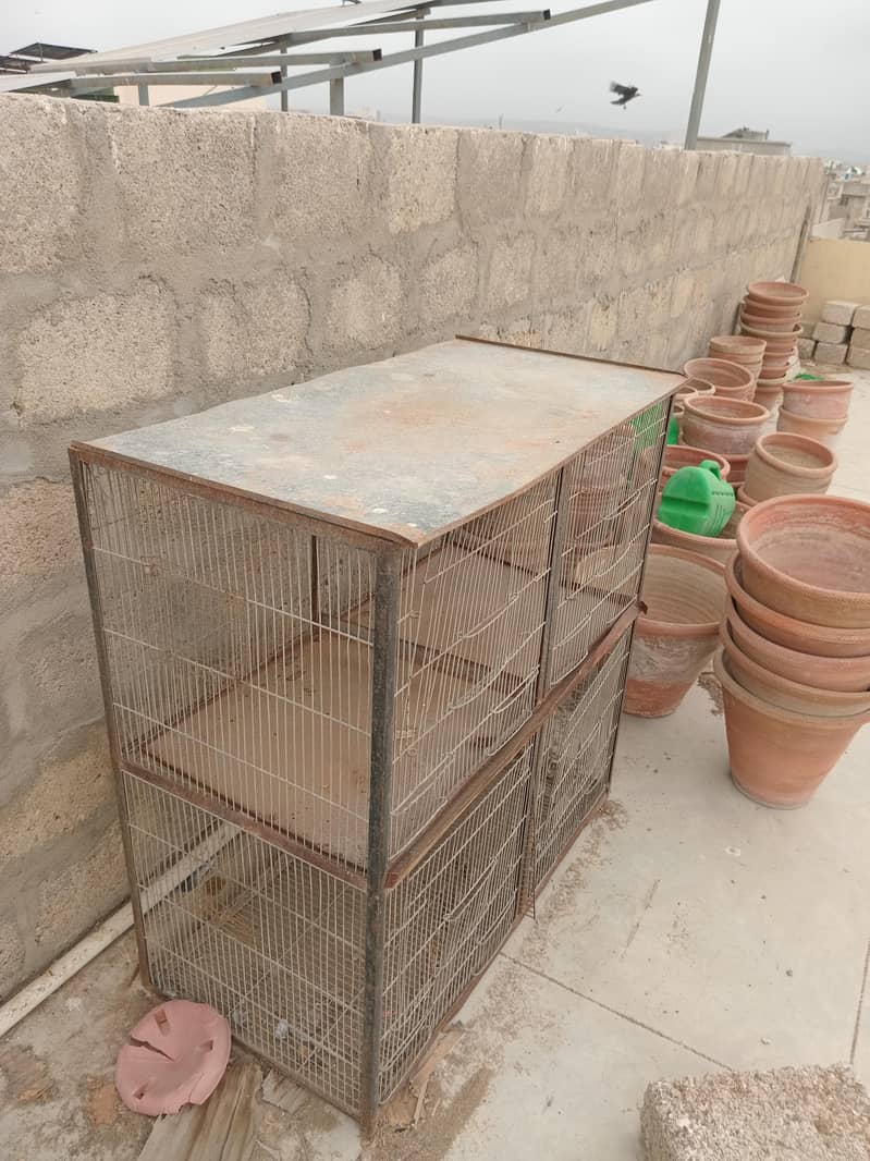 Bird Cage 1