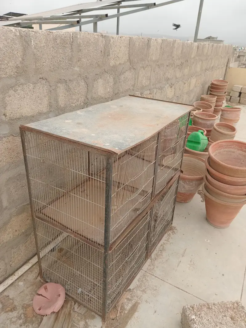 Bird Cage — photo 2