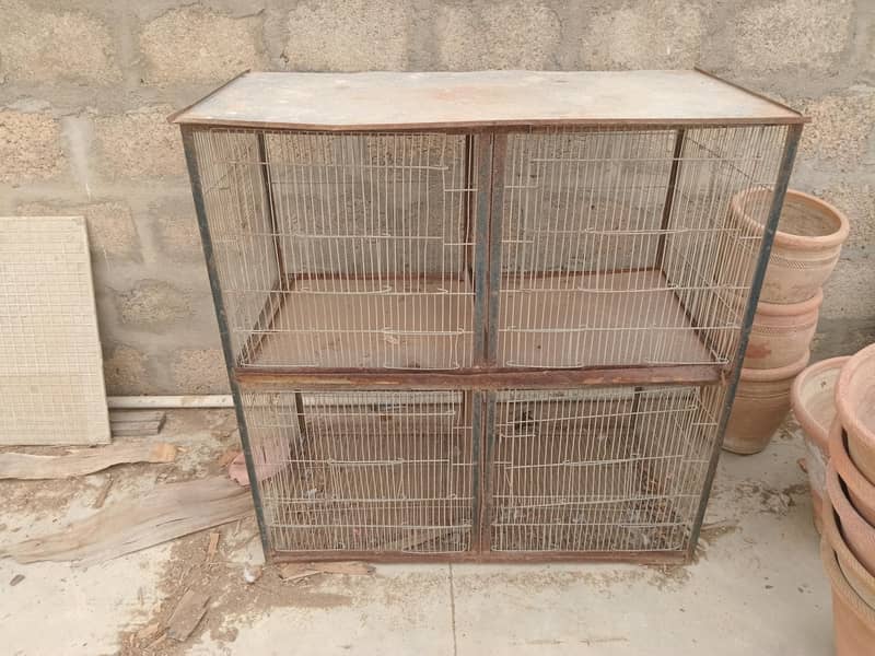 Bird Cage 2