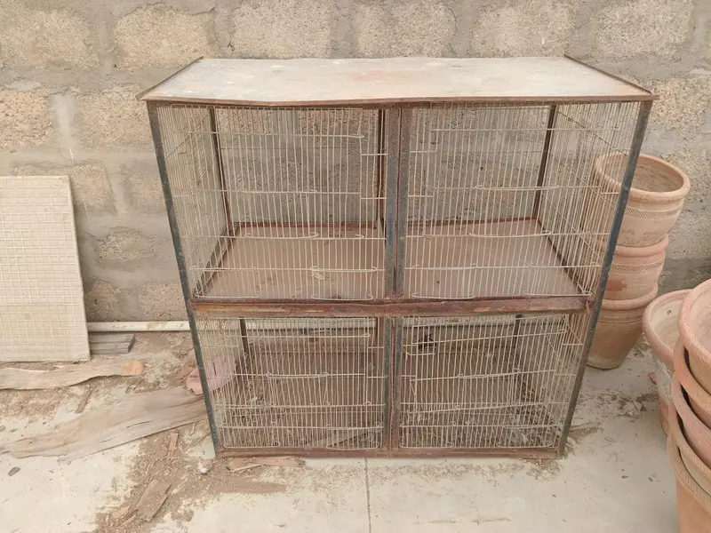 Bird Cage — photo 3