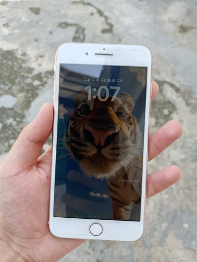Apple iPhone 8 Plus 4