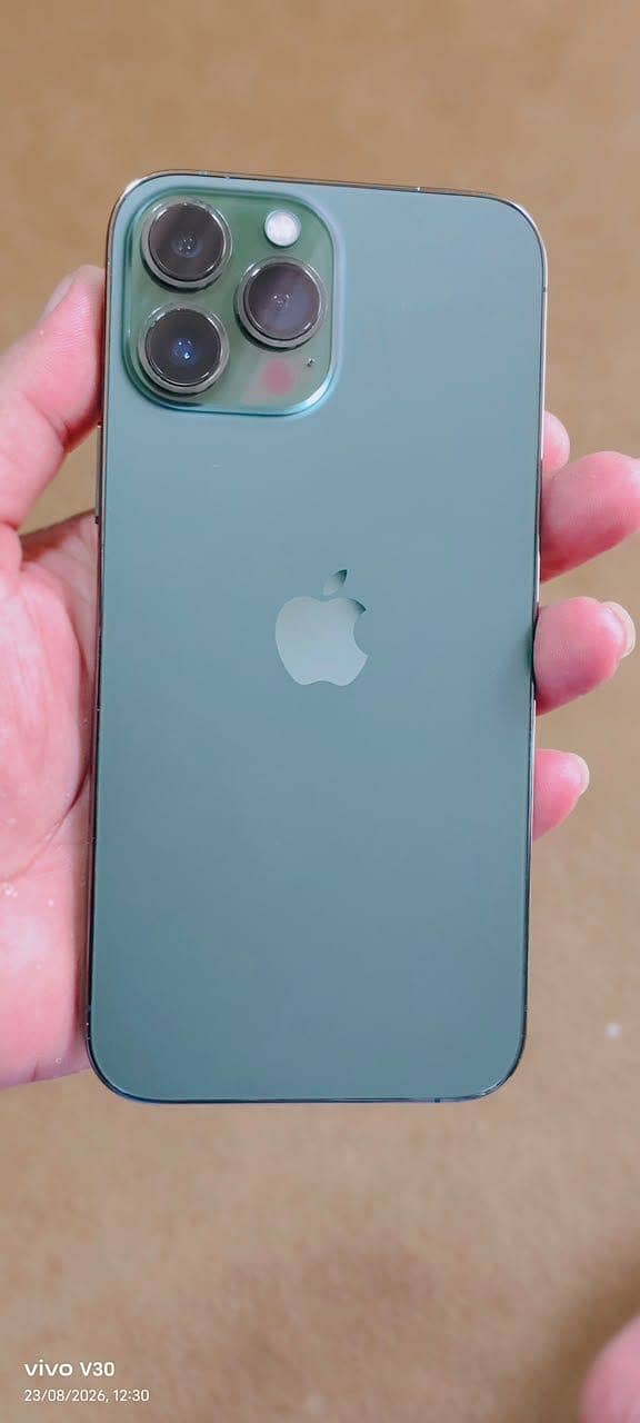 Apple iPhone 13 Pro Max 3