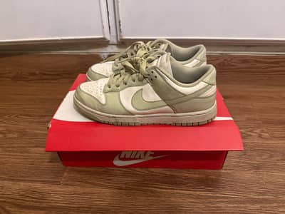 New Nike Dunks in Pistachio Color, Size US 8.5, Women