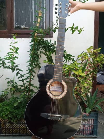Acoustic Guitar with Bag & Accessories