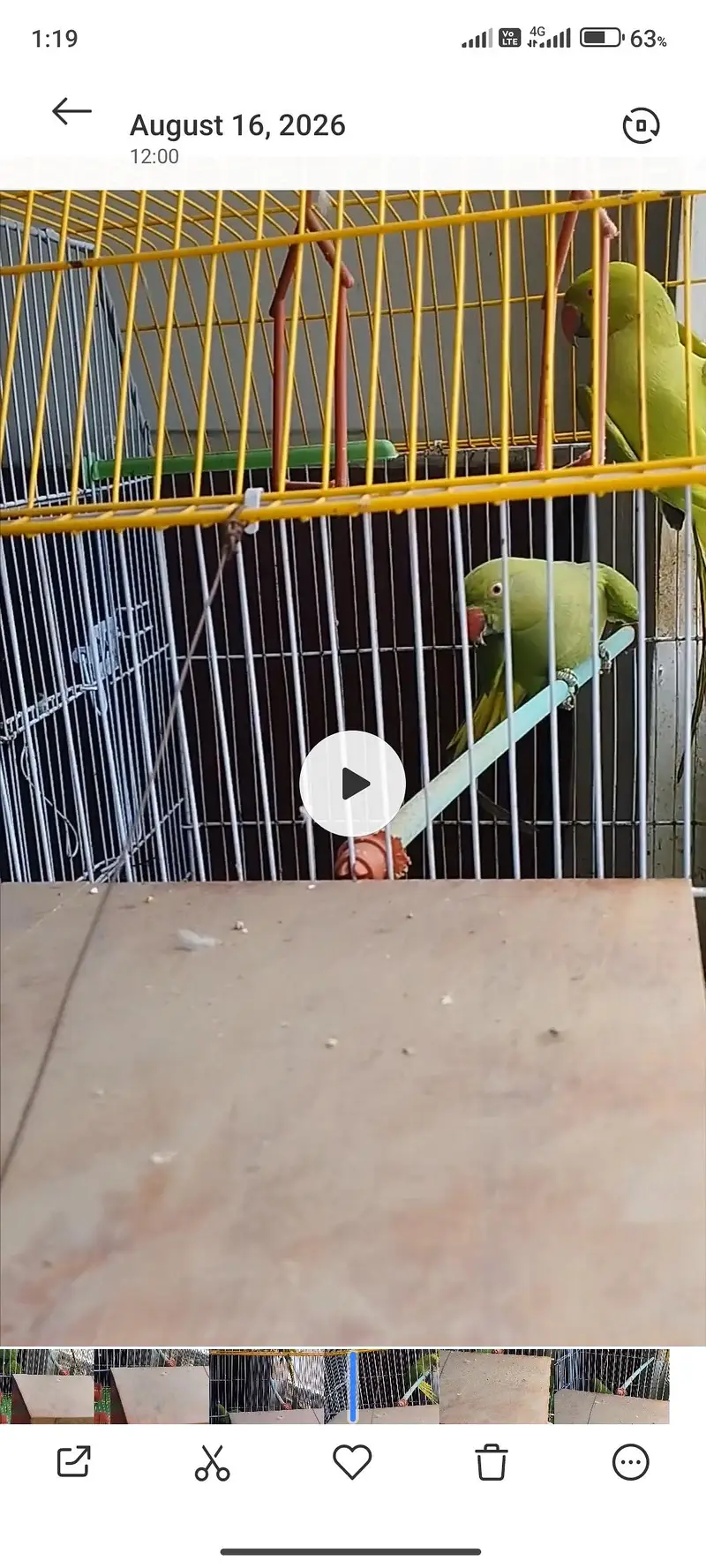 ringneck line Wala rabta karo tenk you — photo 2