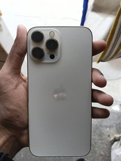 Apple iPhone 13 Pro Max