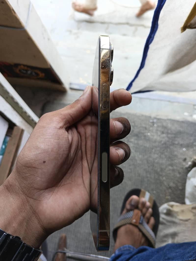 Apple iPhone 13 Pro Max 2