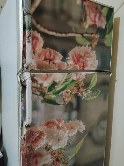 Imported jumbo size refrigerator