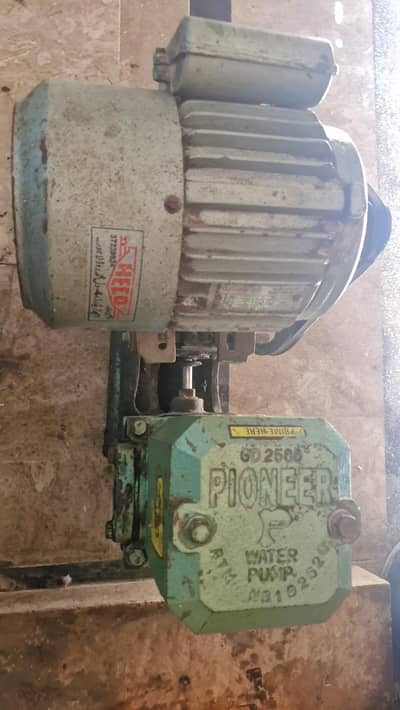 Donkey Pump for Sale