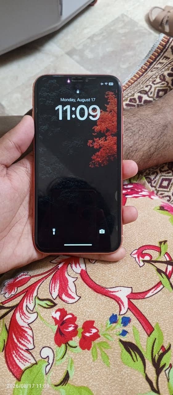 iphone xr 6