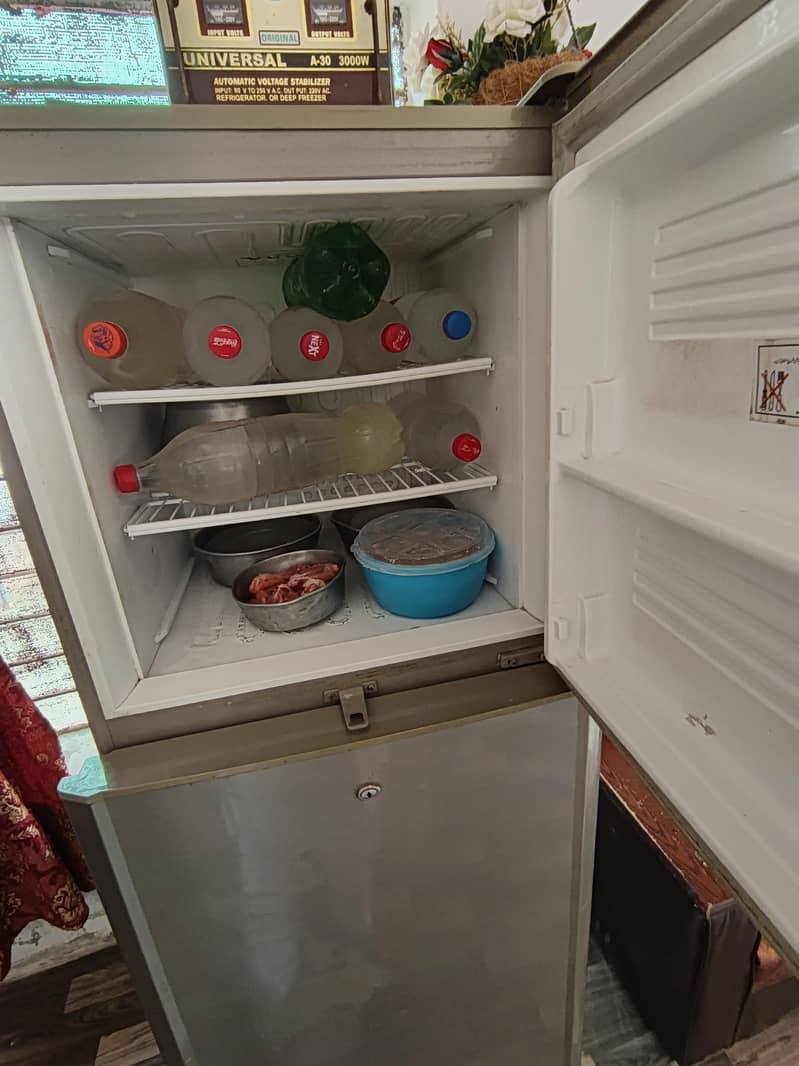 Pell refrigerator 1