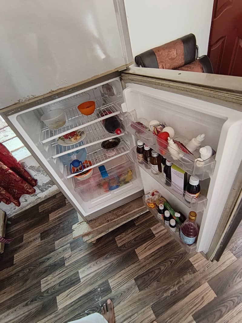 Pell refrigerator 2