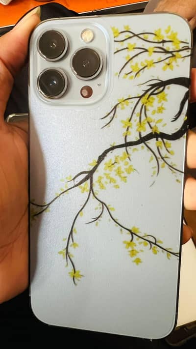Apple iPhone 13 Pro Max