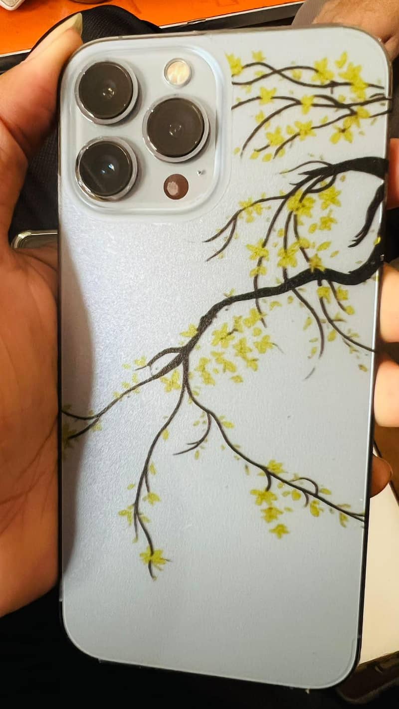 Apple iPhone 13 Pro Max 0
