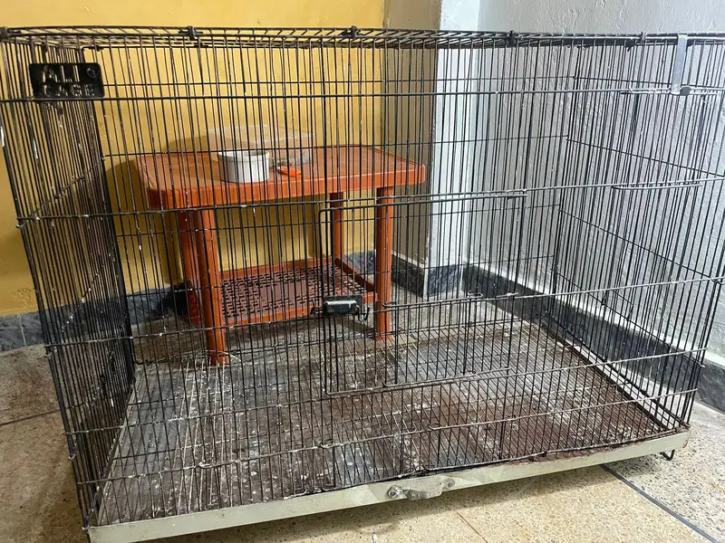 Big Cage for Cat , java , love bird , Gouldians boxes — photo 3