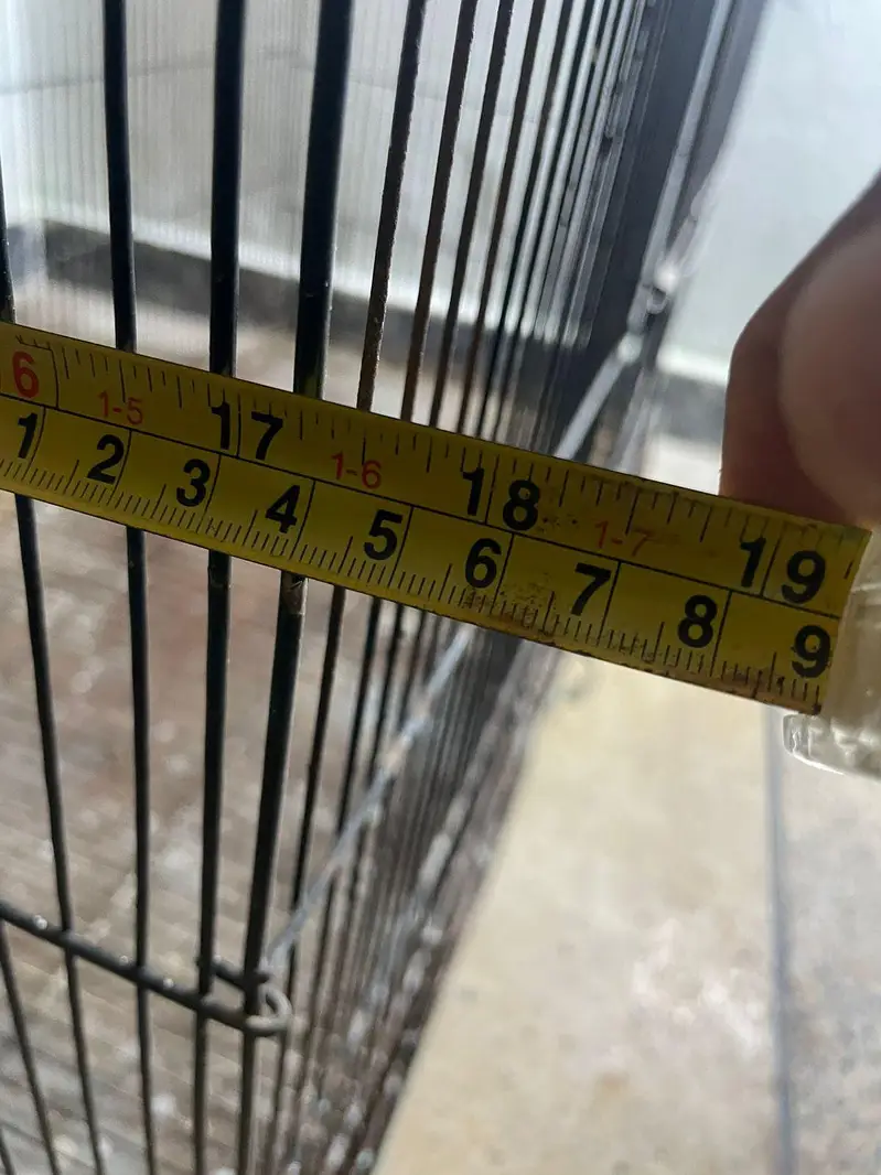 Big Cage for Cat , java , love bird , Gouldians boxes — photo 4