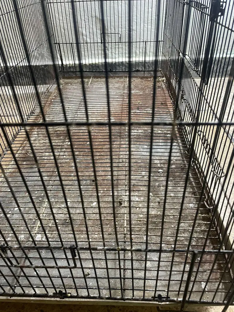 Big Cage for Cat , java , love bird , Gouldians boxes — photo 5