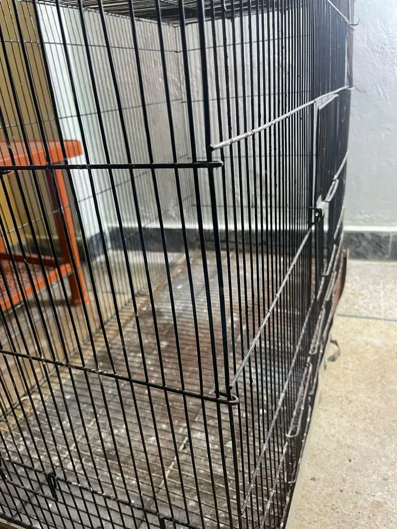 Big Cage for Cat , java , love bird , Gouldians boxes — photo 6