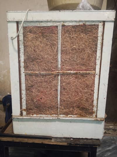 colar 12 volt