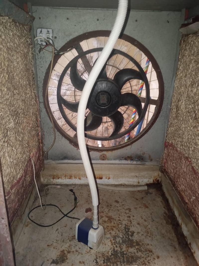 colar 12 volt 4