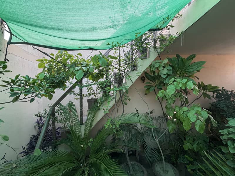 Plants 7