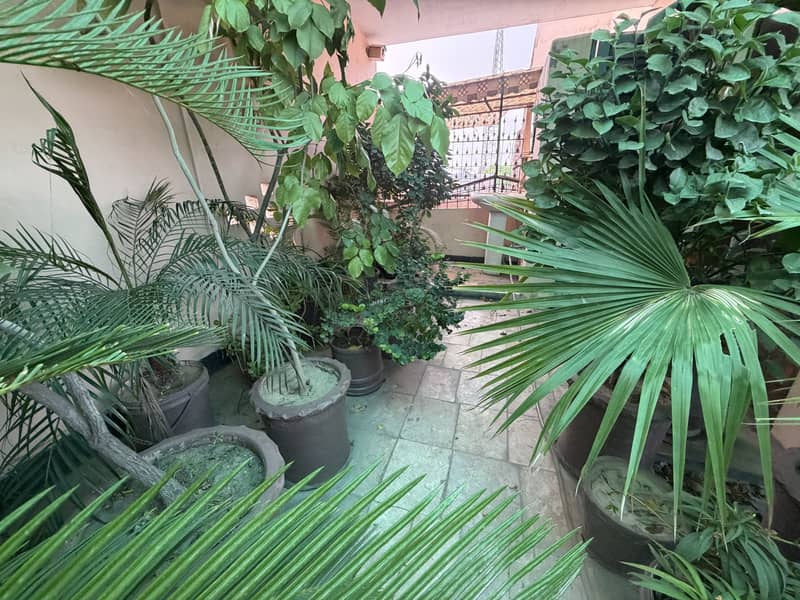 Plants 9