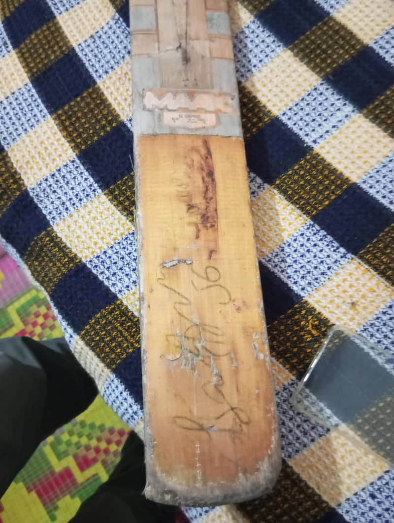 cricket kit 10