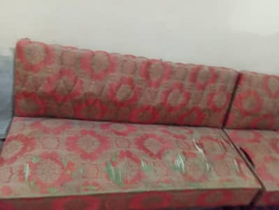 sofa with shokas