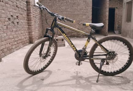 Morgan, MTB001,mountain bike