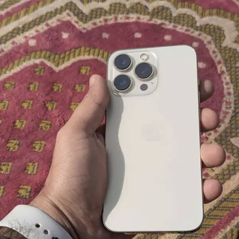 Apple iPhone 13 Pro Max 1