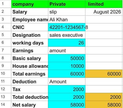 Salary Slip / Payslip Banwana - 1 Ghante Me Delivery | Rs. 300