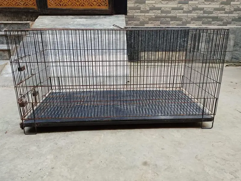 Cage For Sale — photo 2