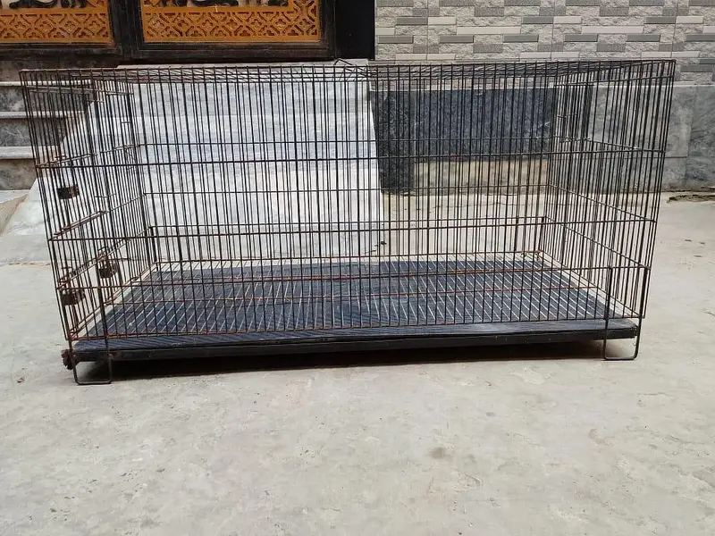 Cage For Sale — photo 3