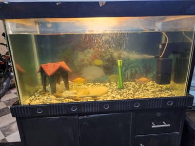 Aquarium with stand