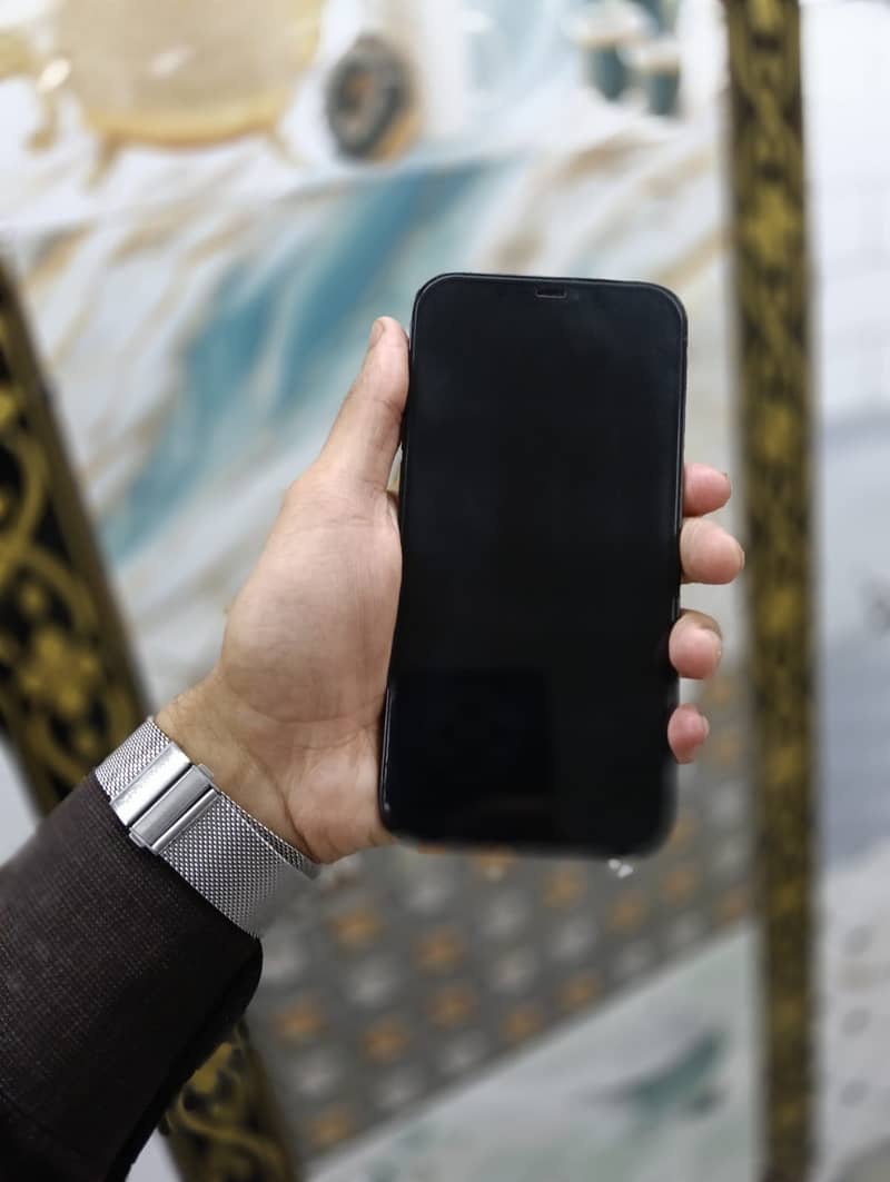 Apple iPhone 12 Pro Max 2