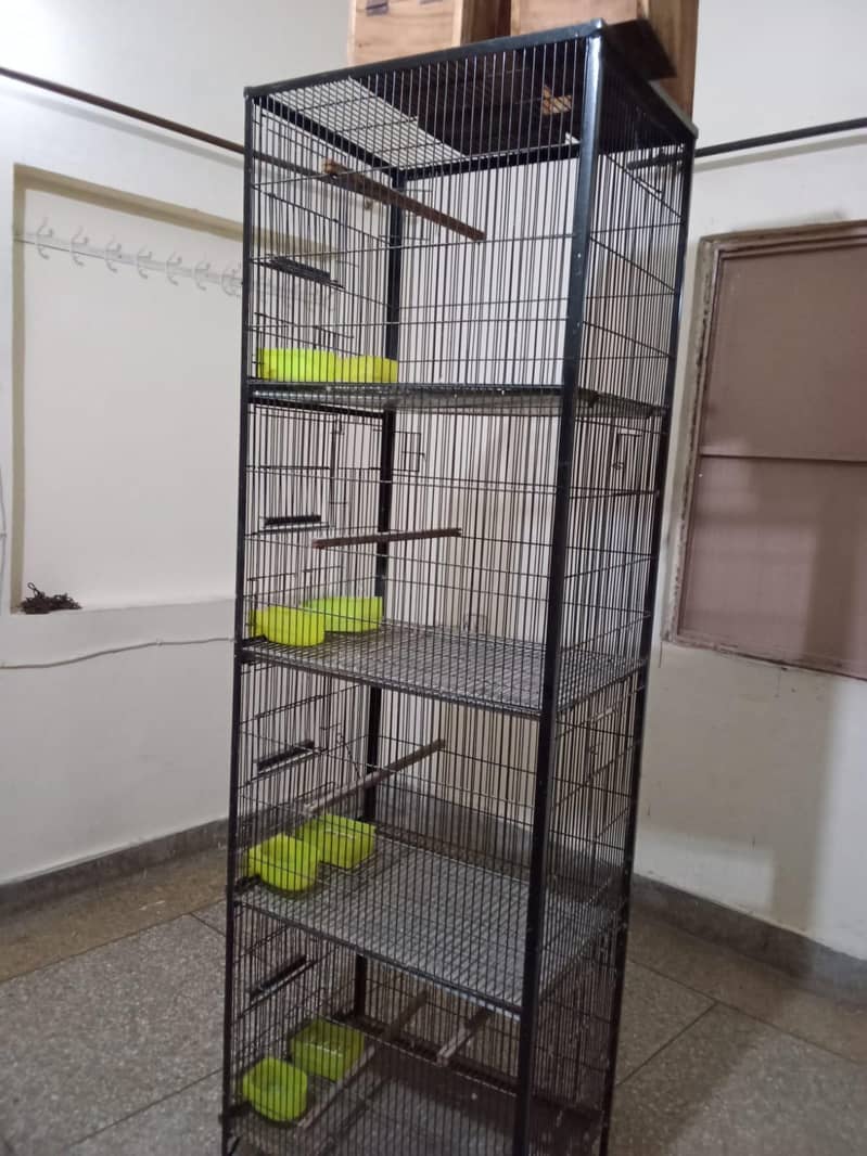 Cages 1