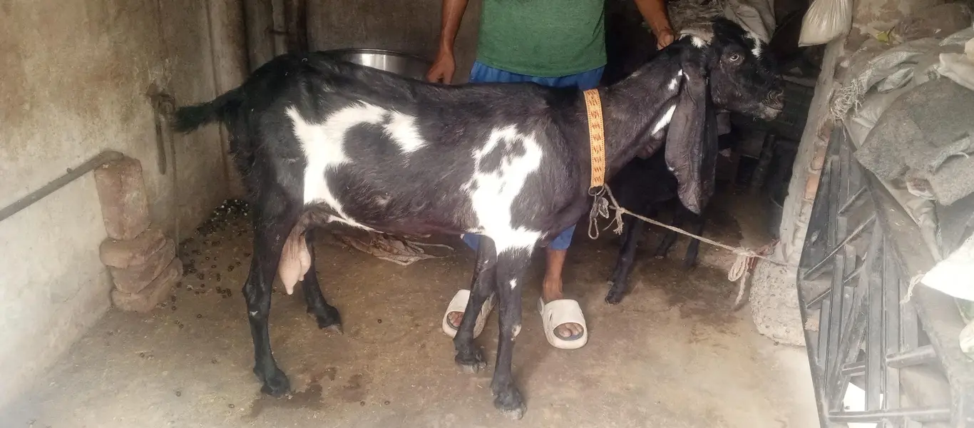 nagra bital jisna Lani hai wo e rabta kara — photo 2