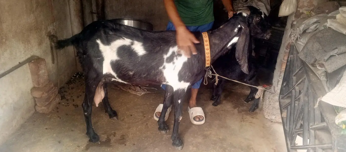 nagra bital jisna Lani hai wo e rabta kara — photo 3