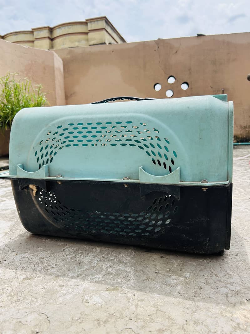 Cat cage 3