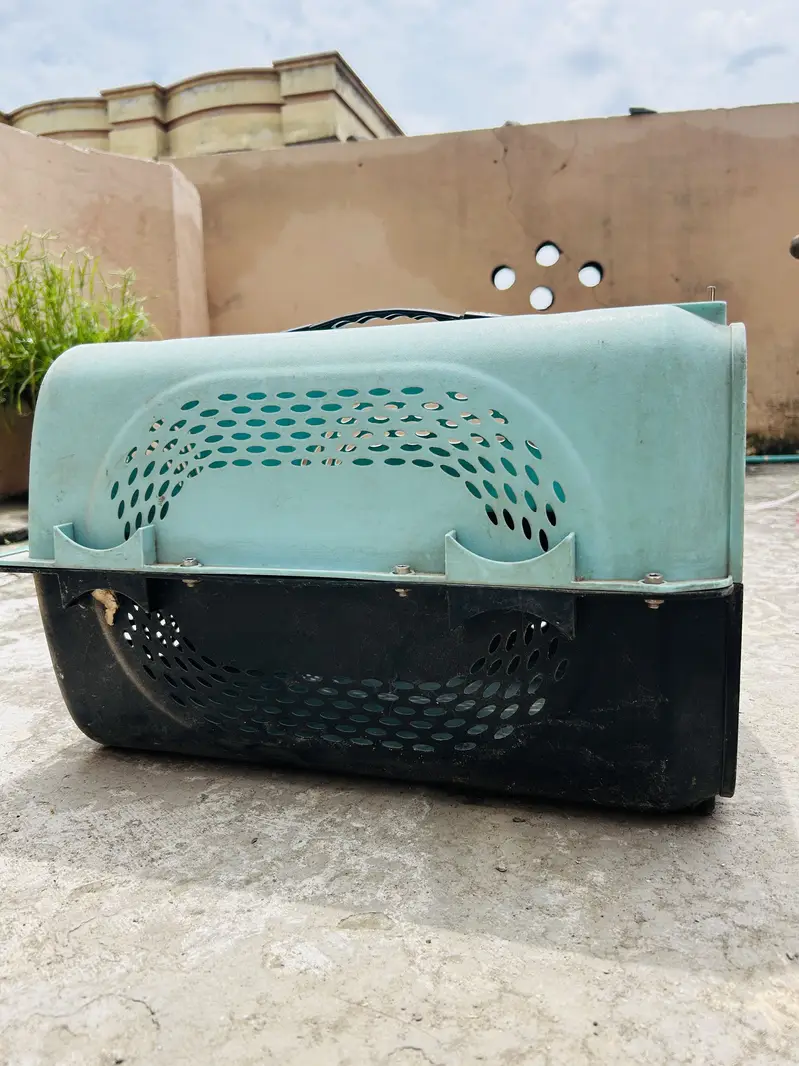 Cat cage — photo 4