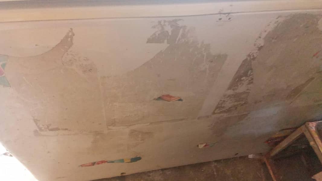 freezer 1