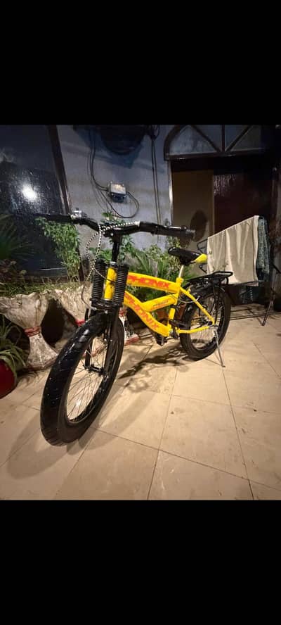 phonix bicycle
