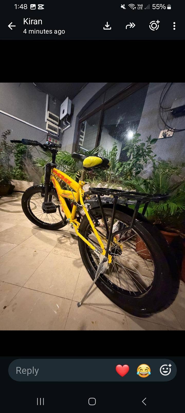 phonix bicycle 1