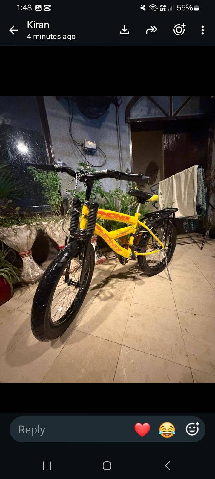 phonix bicycle 2