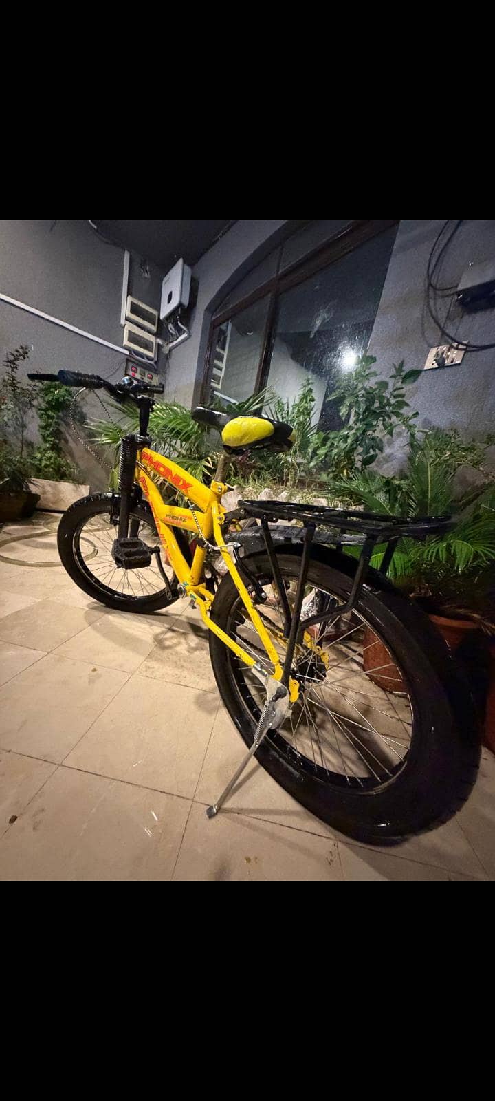 phonix bicycle 4